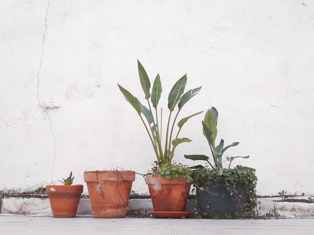 Macetas en huerto urbano, fotograma del cortometraje Jardineando de Luis Miguel Fernández