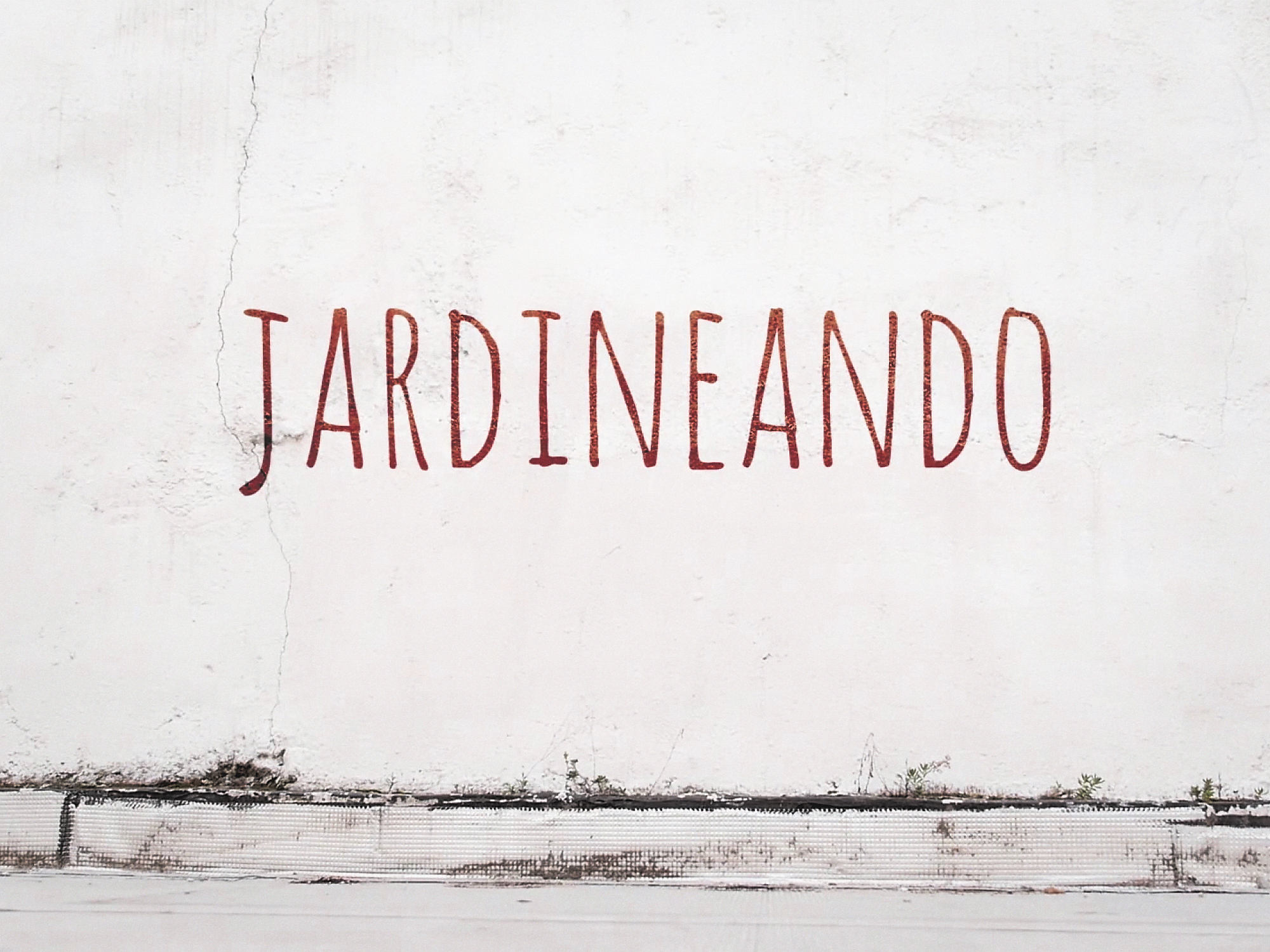 Huerto urbano Jardineando, fotograma del cortometraje de Luis Miguel Fernández