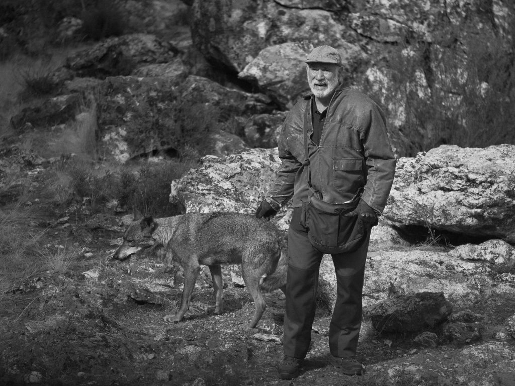 Carlos Sainz, biólogo del centro junto a un lobo ibérico en el Centro del Lobo Ibérico de Sanabria.