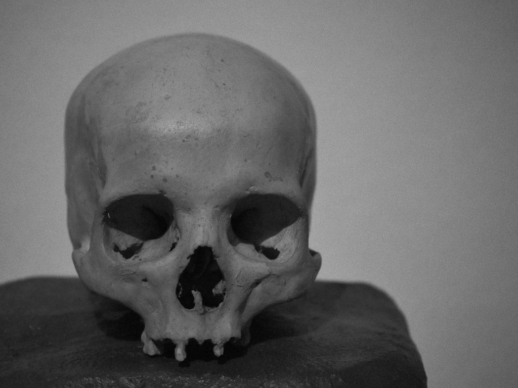 Detalle escultórico del San Antón Abad de Ramón Álvarez en la exposición Espejo del alma, Palacio de la Encarnación, Zamora. Fotografía de Luis Miguel Fernández.